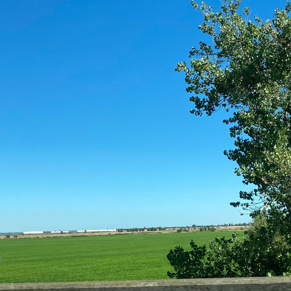 Meet your Posher, Sharmayne